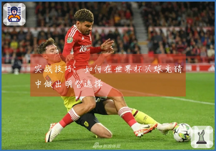 实战技巧：如何在世界杯买球竞猜中做出明智选择