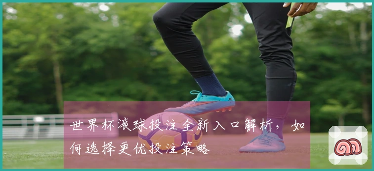 世界杯滚球投注全新入口解析，如何选择更优投注策略