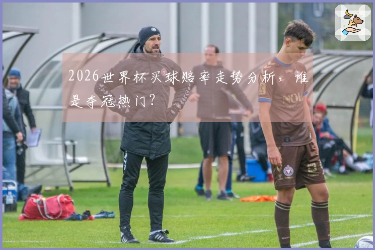 2026世界杯买球赔率走势分析，谁是夺冠热门？